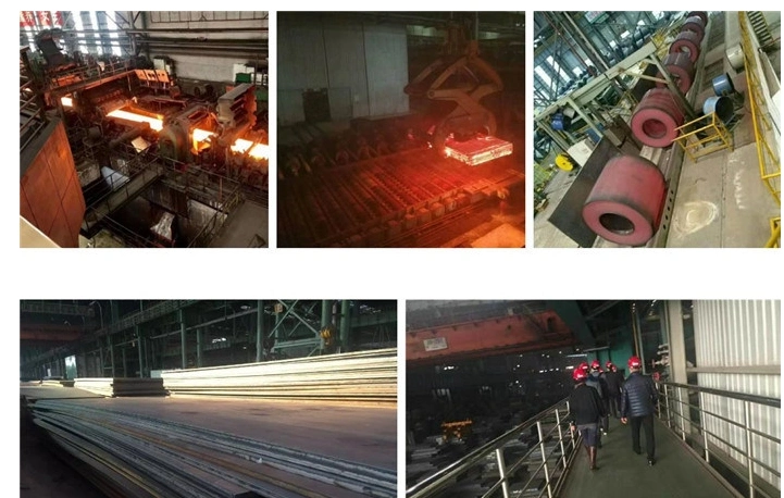 Hot Rolled Deformed Steel Bar/Rebar Steel/Iron Rod for Construction Rebar 8 mm to 32 mm Made in China