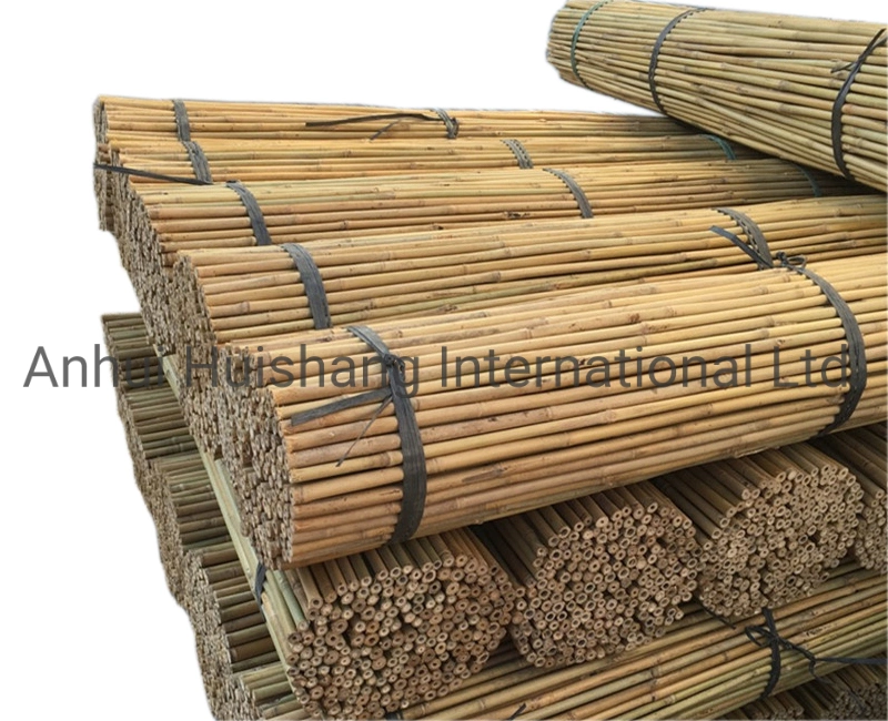 Natural Bamboo Canes Bamboo Poles &amp; Stakes