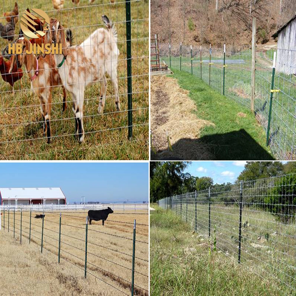 Wholesale Green Metal USA Farm Studded Steel T Fence Posts