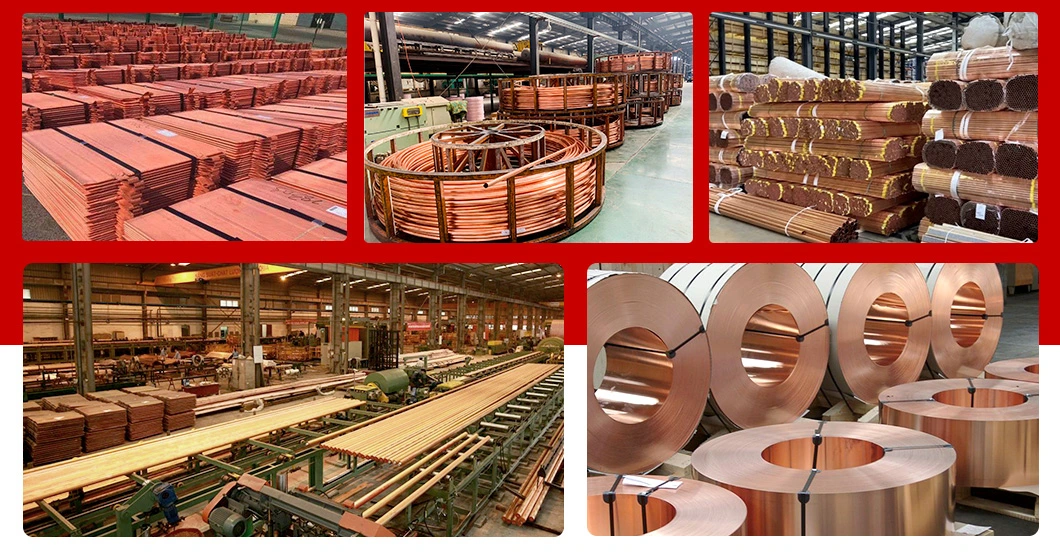 200mm C1100 Price for Copper Round Bar/Copper Rod 8mm