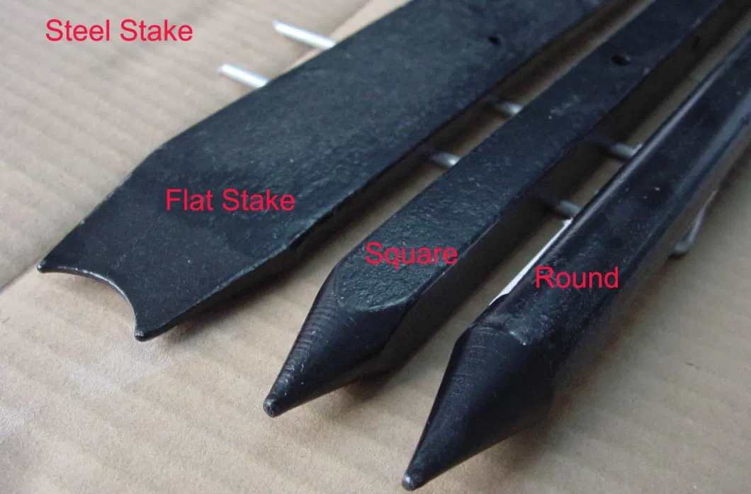 Sharp Square Round Concrete Nail Stakes with Holes (ZKJ)