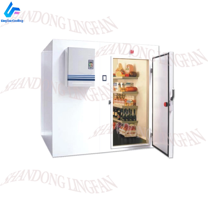  Restaurante Comercial almacenamiento fr&#237;o Sala Camine en refrigerador fr&#237;o Sala Congelador