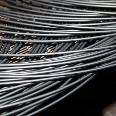 Basso tenore di carbonio SAE 1006/SAE 1008 1010 / 1012 / 1018 Filo in acciaio laminato a caldo/zincato a caldo DIP/rivestimento