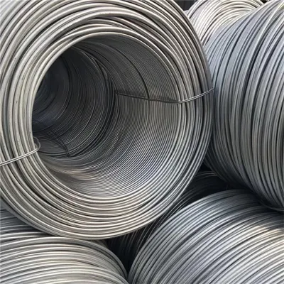 Basso tenore di carbonio SAE 1006/SAE 1008 1010 / 1012 / 1018 Filo in acciaio laminato a caldo/zincato a caldo DIP/rivestimento