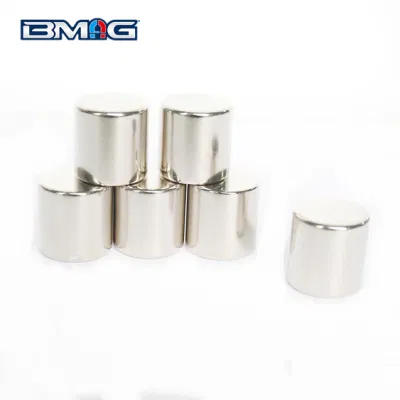 Magnete NdFeB al neodimio da 1 pollice per 0.25 pollici, magneti rotondi