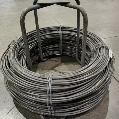 Laminato a caldo SAE 1008 1006 5,5 mm 6,5 mm Q195 Q235 caldo Acciaio zincato a basso tenore di carbonio MS filo metallico in Bobina per chiodo