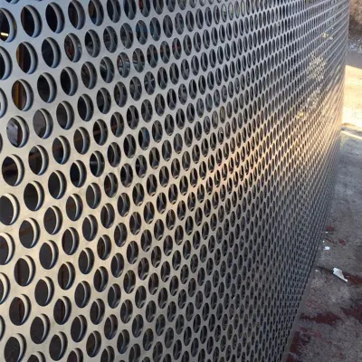 0.1mm acciaio inox perforato Foro rotondo Mesh cerchio balcone Piastra metallica forata