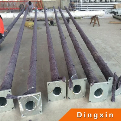 Lampada ottagonale HDG da 3 m a 30 m.