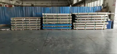 Lamiera in acciaio inox 316L SS 316L