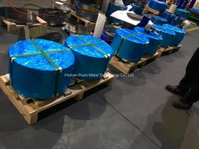 SUS430 piastra rotonda in acciaio inox/foglio circolare, SUS430 perforata, acciaio inox, rotondità/pezzo rotondo/wafer/acciaio inox circolare