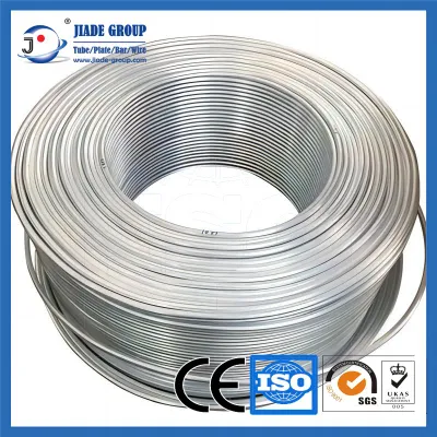 Buon prezzo industriale 304 316L tubo in acciaio spessore 9,0 mm 3 Tubo/tubo in acciaio inox senza saldatura in pollici