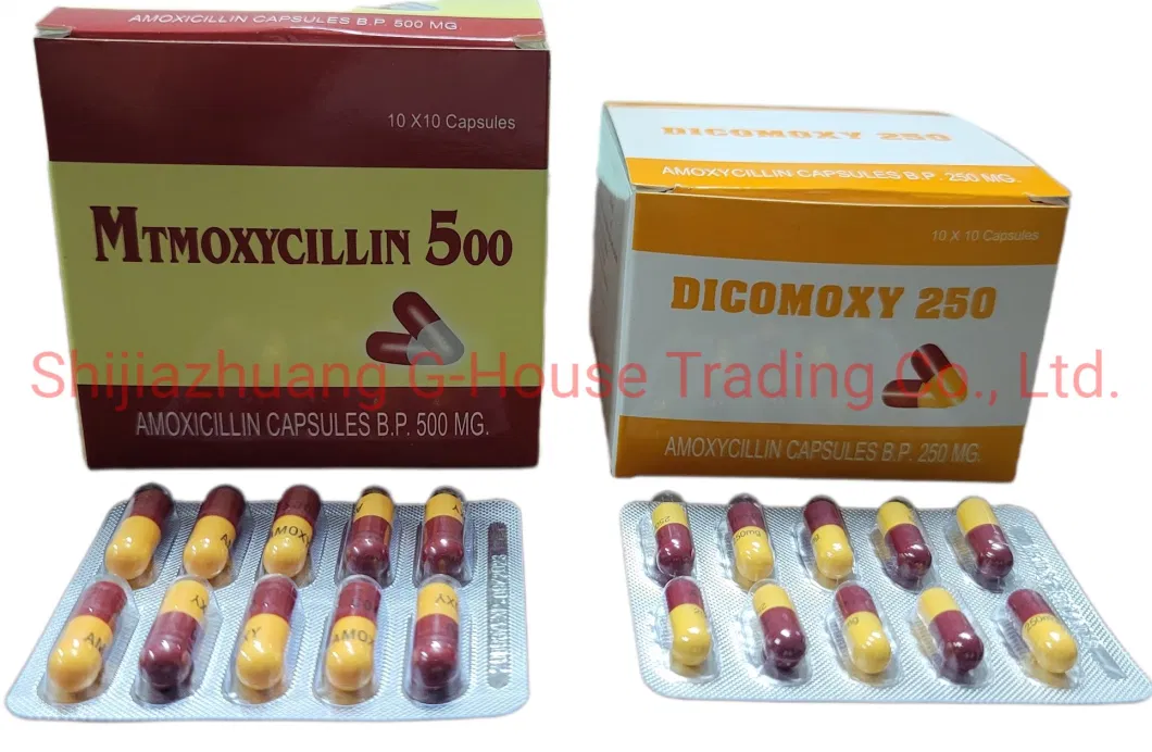 Amoxicillin Capsule 500mg Finished Medicines Western Medicines Pharmaceuticals Drugs