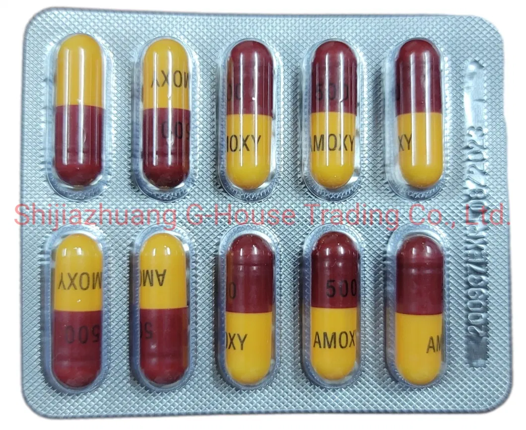 Amoxicillin Capsule 500mg Finished Medicines Western Medicines Pharmaceuticals Drugs