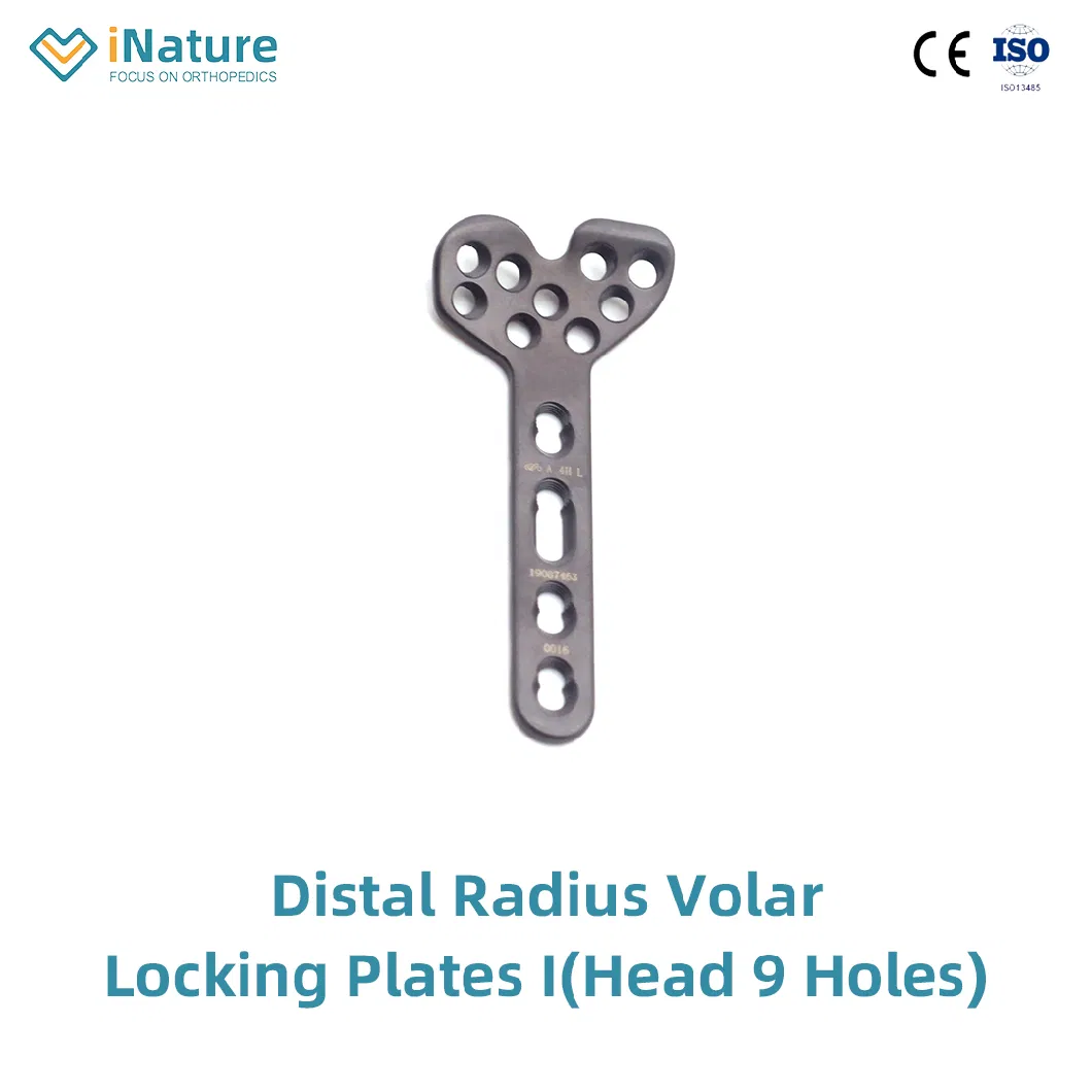 Orthopedic Radius Distal T Type Locking Plate Implant (Head 2 Holes)