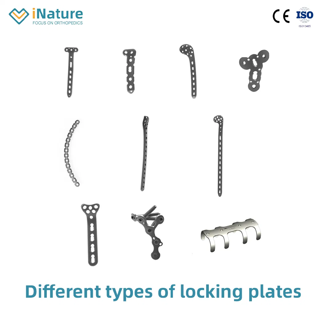 Orthopedic Radius Distal T Type Locking Plate Implant (Head 2 Holes)