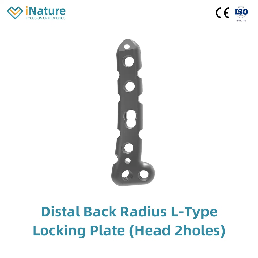 Orthopedic Radius Distal T Type Locking Plate Implant (Head 2 Holes)