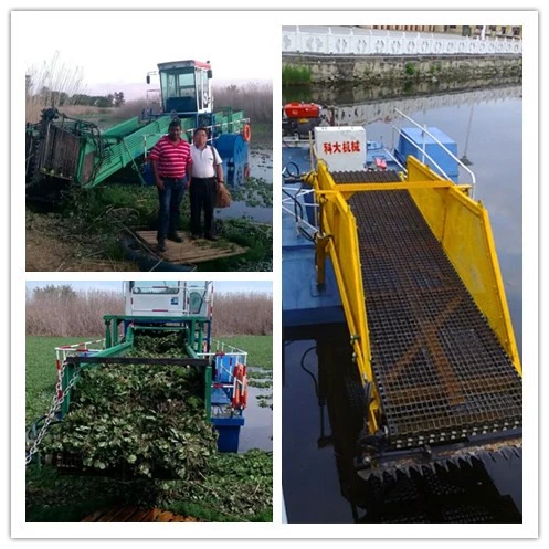 Self-Propelled River Trash Skimmer for New Finished Models