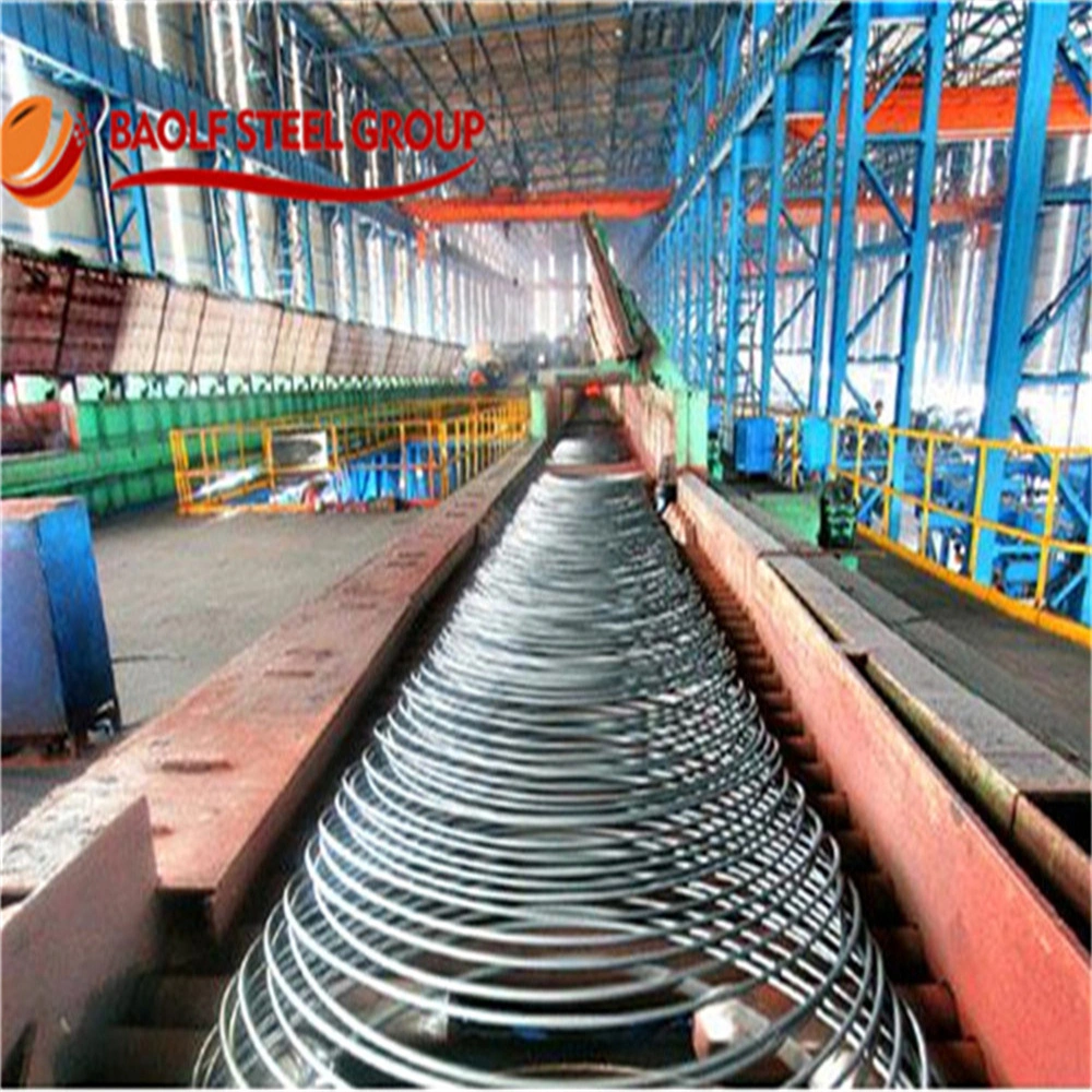 From 11 Years Manufacturer Steel Wire Rod for Grade SAE1006 1008 1018 Q195 Q235 Steel Wire Rod