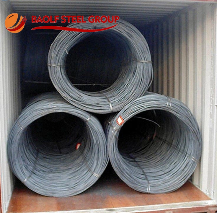 From 11 Years Manufacturer Steel Wire Rod for Grade SAE1006 1008 1018 Q195 Q235 Steel Wire Rod