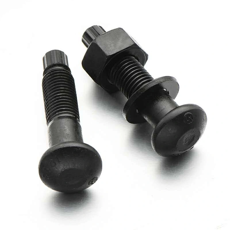 Ts10.9 Black Round Head High Tensile Bolts with Nuts Washers