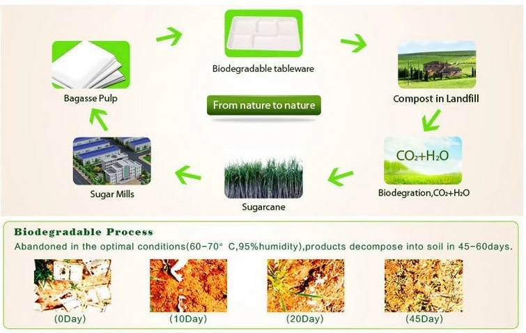 9&quot; Round Bagasse Plate with Eco-Friendly Bio-Degradable Sugarcane