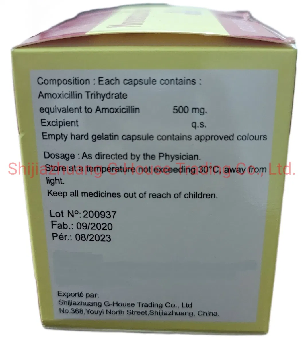 Amoxicillin Capsule 500mg Finished Medicines Western Medicines Pharmaceuticals Drugs