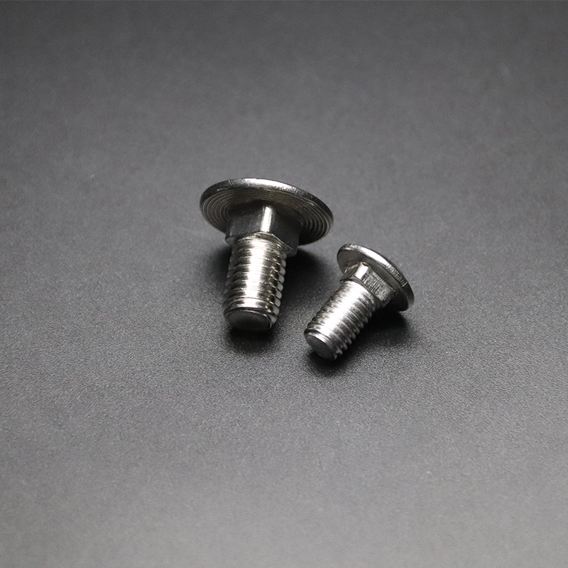 DIN603 GB512 ASTM/JIS/Bsw Stainless Steel 304/316 Hardware Fastener High Quality Carriage Bolt