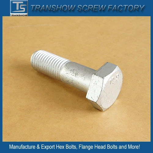 High Strength Grade 8.8 Round Head Elliptic Neck Track Bolt