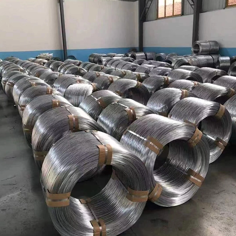Hot Rolled SAE1008 Galvanized Steel Wire Rods for Nail Making