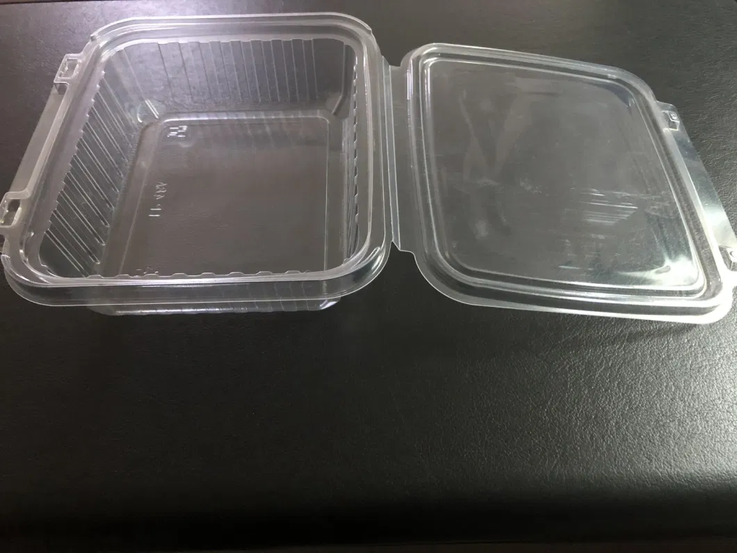 Round Salad Bowl Take out Plastic Box Wherever to Go