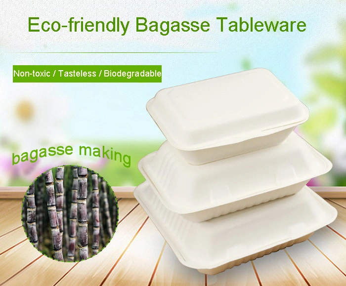 Top Quality 12 Inch Composable Biodegradable Sugarcane Bagasse Paper Plate Disposable