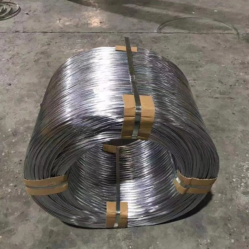 Hot Rolled SAE1008 Galvanized Steel Wire Rods for Nail Making