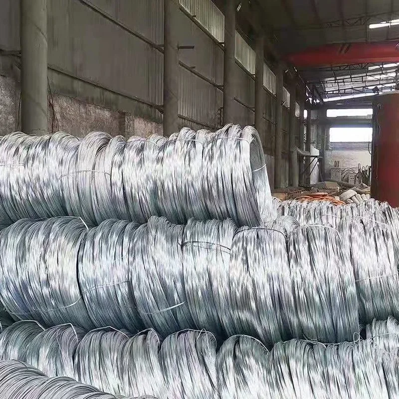 Hot Rolled SAE1008 Galvanized Steel Wire Rods for Nail Making