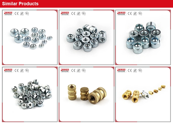 Common Round Head Screw Stud Brass Flange Bolt for Building