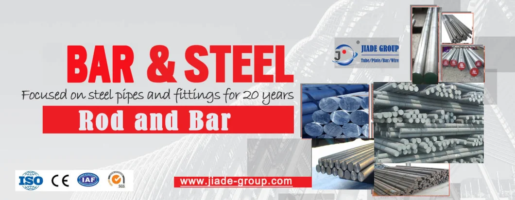 Stainless Steel Hot-Rolled Round Bar Diameter 16 mm 1.4034 / 420c 100cm