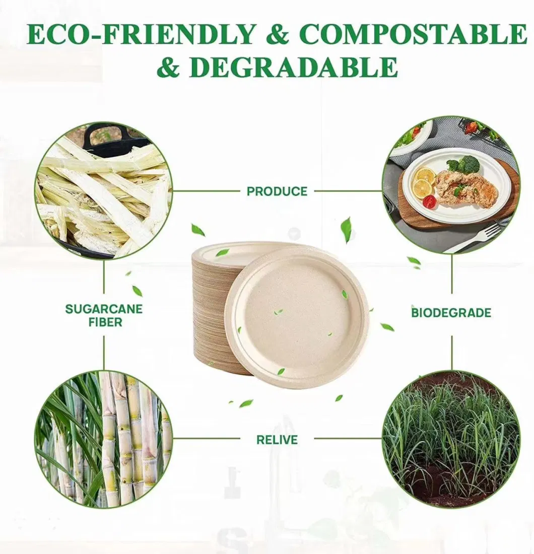 Disposable Tableware Environmental Protection Bagasse 9 Inch Round Plate