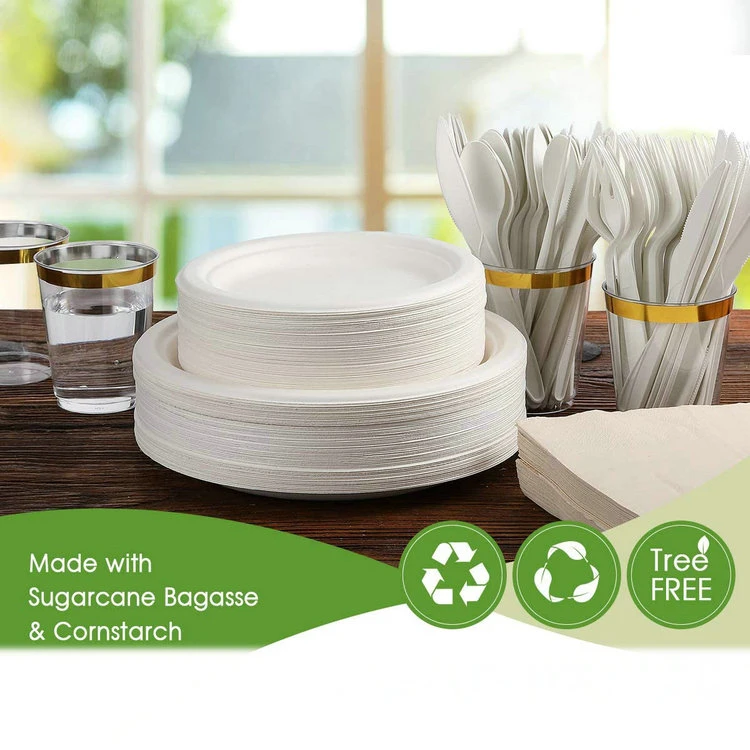 Top Quality 12 Inch Composable Biodegradable Sugarcane Bagasse Paper Plate Disposable