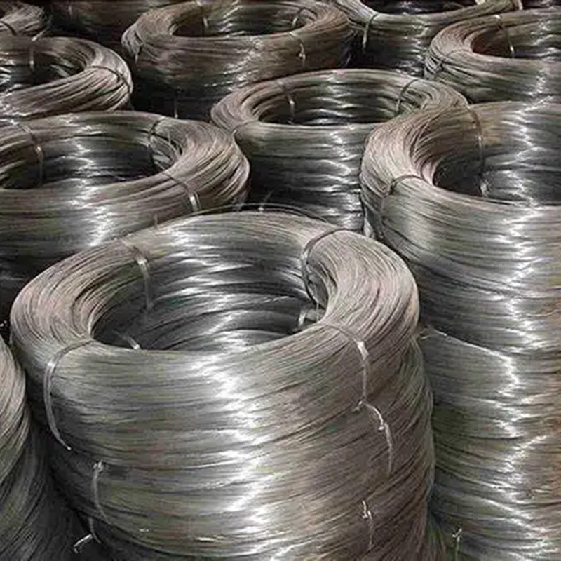 Hot Rolled SAE1008 Galvanized Steel Wire Rods for Nail Making