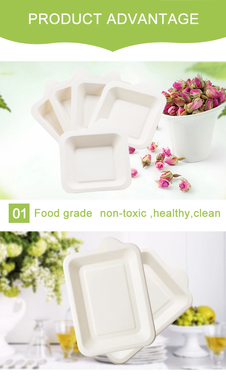 Top Quality 12 Inch Composable Biodegradable Sugarcane Bagasse Paper Plate Disposable