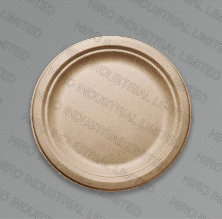 10 Inch 3-Compartment Round Bagasse Plate with Eco-Friendly Biodegradable Sugarcane