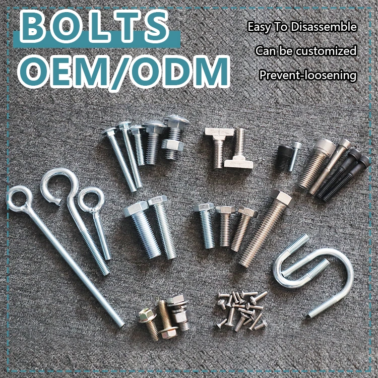 304 China Factory Stainless Steel Half Round Head Square Neck Carriage Bolts