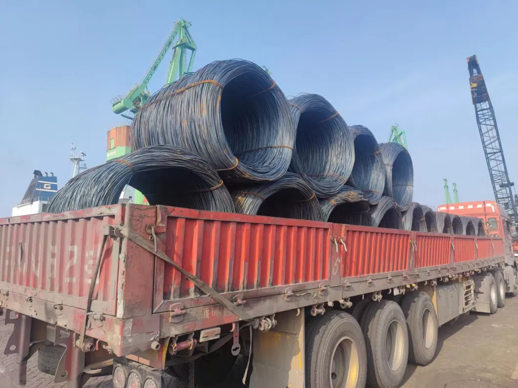 SAE1008 2mm Factory Supplier Hot Dipped Galvanized Steel Wires Rods