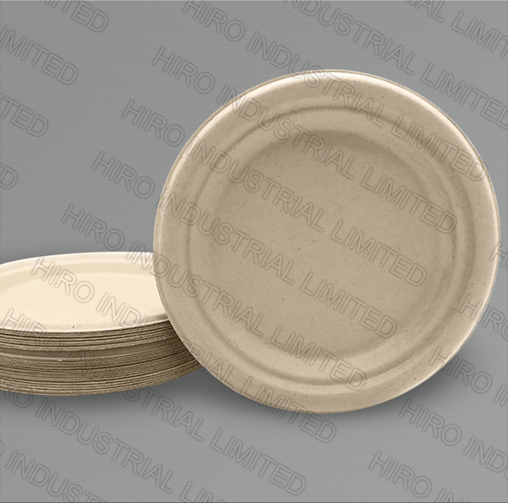 10 Inch 3-Compartment Round Bagasse Plate with Eco-Friendly Biodegradable Sugarcane