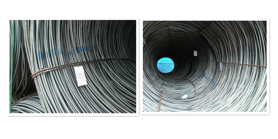 Hot Rolled Electrode Grade G3503 Swry11 Mild Steel Wire Rod