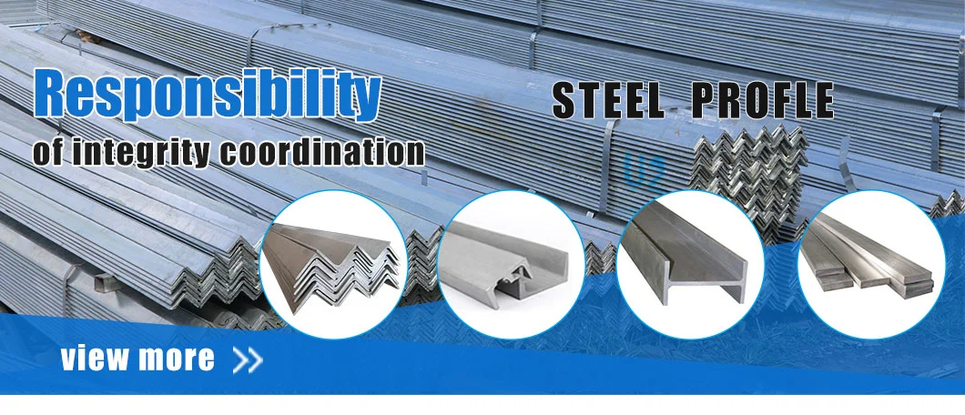 Galvanized Steel Proile-Angle Bar, Flat Bar, Square Bar, Hexagonal Bar Profile