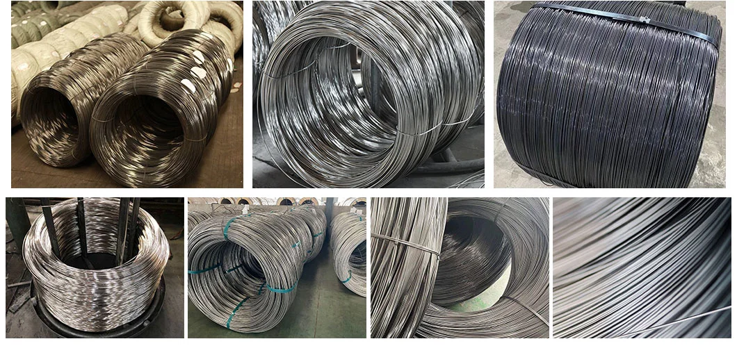 AISI 201 204 303 304 316 316L 410 430 Stainless Steel Cold Heading Soft Annealed Wire/Rod with Best Price Per Kg