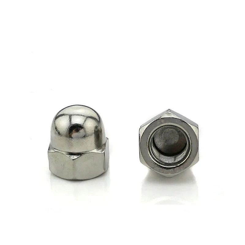 Cap Nut Stainless Steel Nuts Half Round Nut