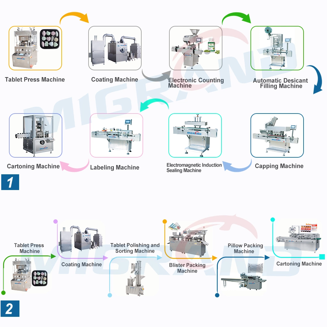 Auaomatic Pool Disinfection Tablets Making Machine 1 2 5 10 20 50 100 200 250 Gram 84 Chlorine Powder Tablet Pill Compress Press Machine