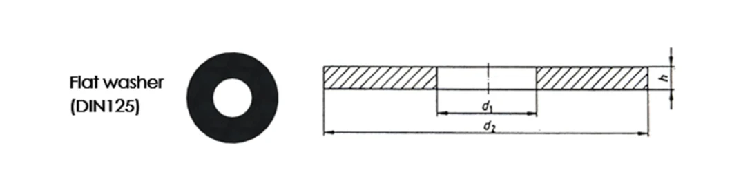 Stainless Steel DIN125 DIN9021 Plate Washer