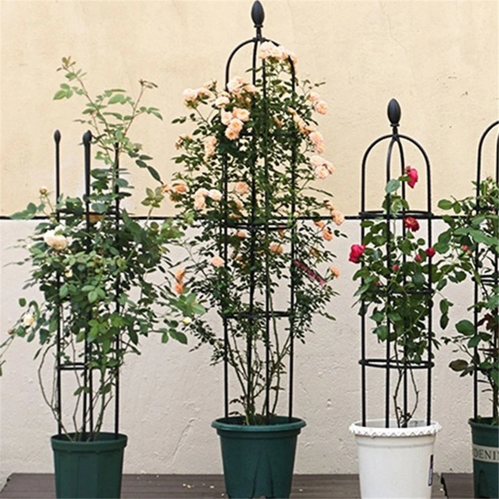 Straight Type Garden Plant Lianas Climbing Trellis Outdoor Flower Metal Support Rod